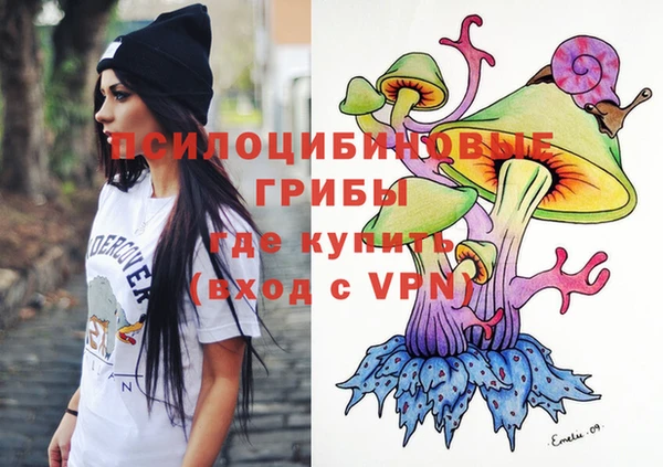 стафф Новодвинск