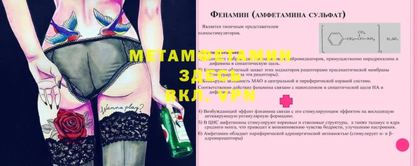 стафф Новодвинск