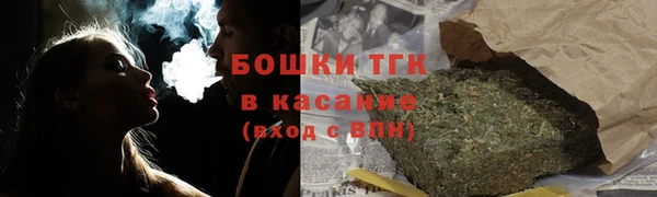стафф Новодвинск