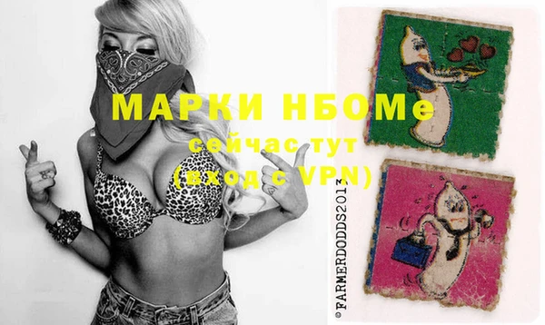 стафф Новодвинск
