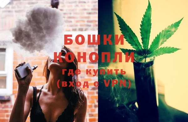 стафф Новодвинск