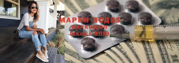 стафф Новодвинск