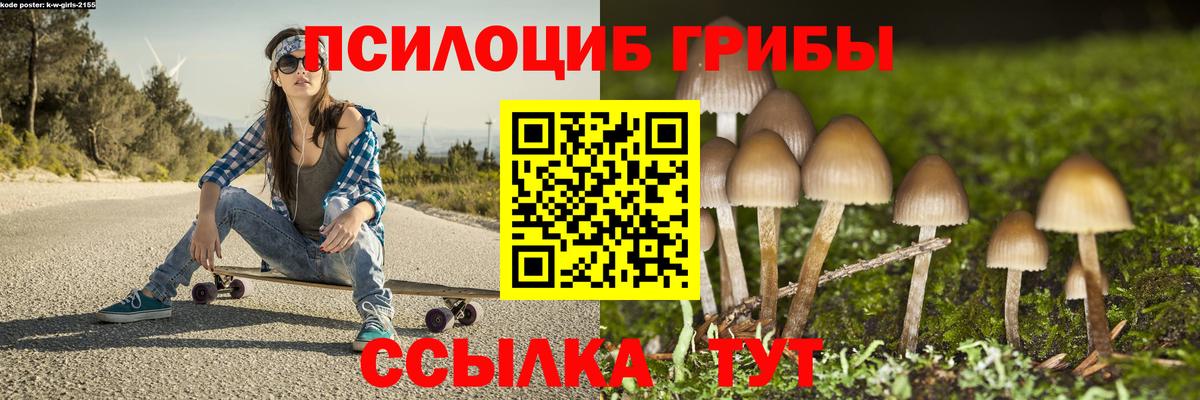 Изобильный  Псилоцибиновые грибы ЛСД  Вход с VPN  Галлюциногенные грибы ЛСД 
